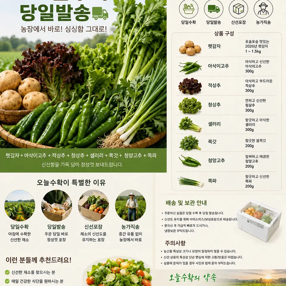 모둠채소꾸러미 1번째 이미지