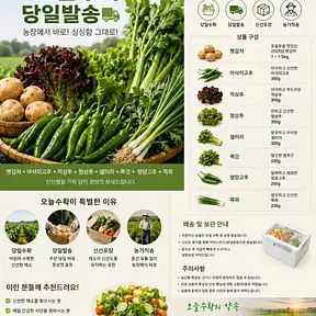 모둠채소꾸러미