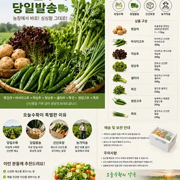 모둠채소꾸러미