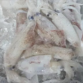 국내산 생물 한치 