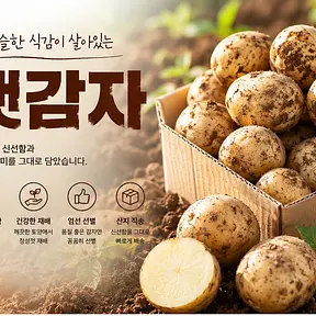 2026년 햇 감자